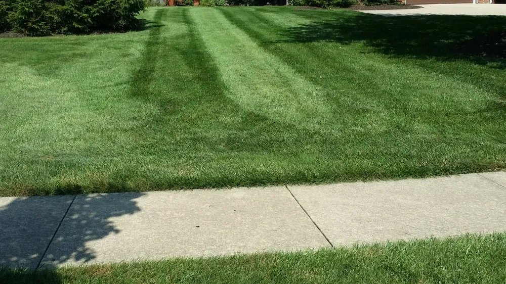 Custom landscape design experts serving Mogadore, OH - Land Pro Landscaping & Tree Service