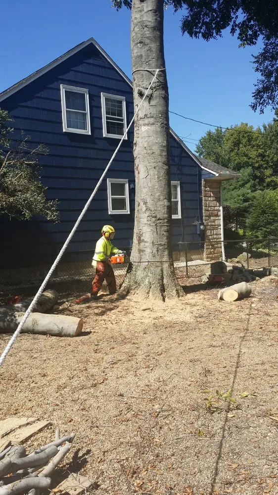 Trusted yard maintenance with custom design across Mogadore, OH - Land Pro Landscaping & Tree Service