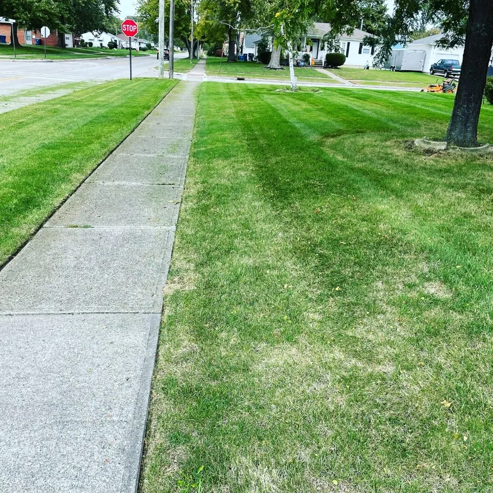 Professional yard maintenance for homes in Berea, OH by LAND PRO MANAGEMENT