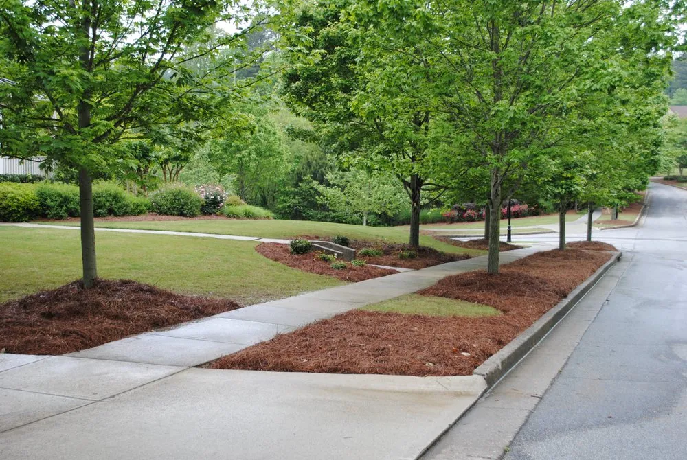 Professional landscape design in Powder Springs, GA - Land Pro