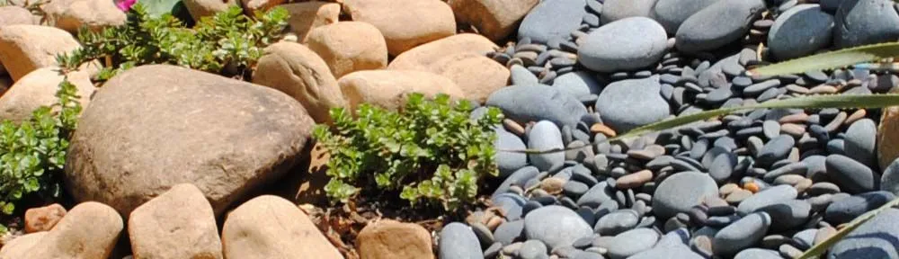 Affordable lawn care service for outdoor upgrades in Powder Springs, GA by Land Pro