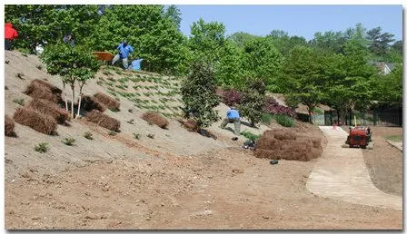 Top-rated landscape design for homes across Powder Springs, GA - Land Pro