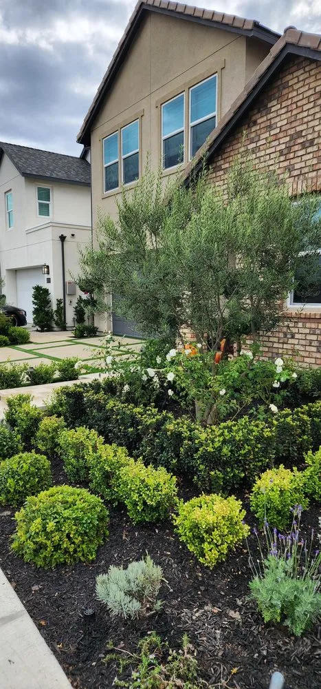 Top-rated outdoor landscaping for outdoor upgrades in Laguna Niguel, CA by Land Reform Construction