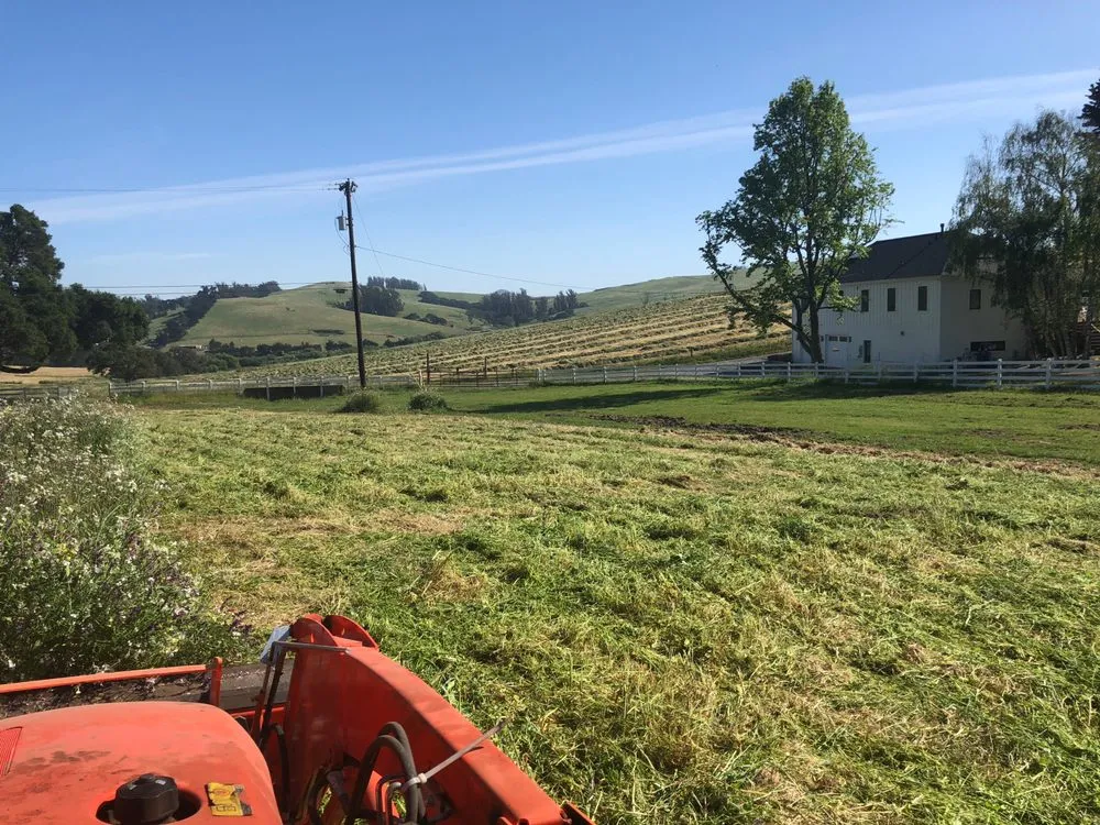 Reliable landscape installation in Petaluma, CA by Land Revision