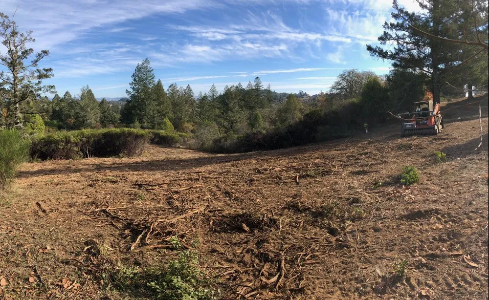 Affordable outdoor landscaping experts serving Petaluma, CA - Land Revision