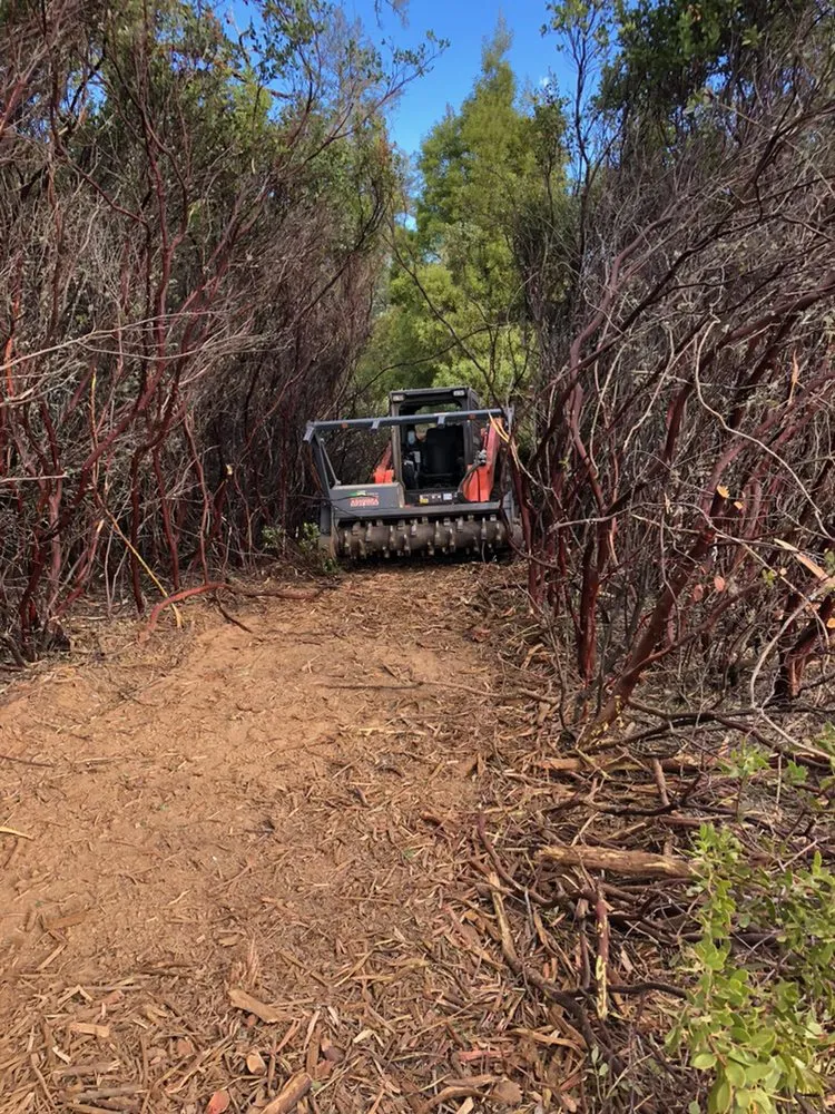 Affordable outdoor landscaping in Petaluma, CA - Land Revision