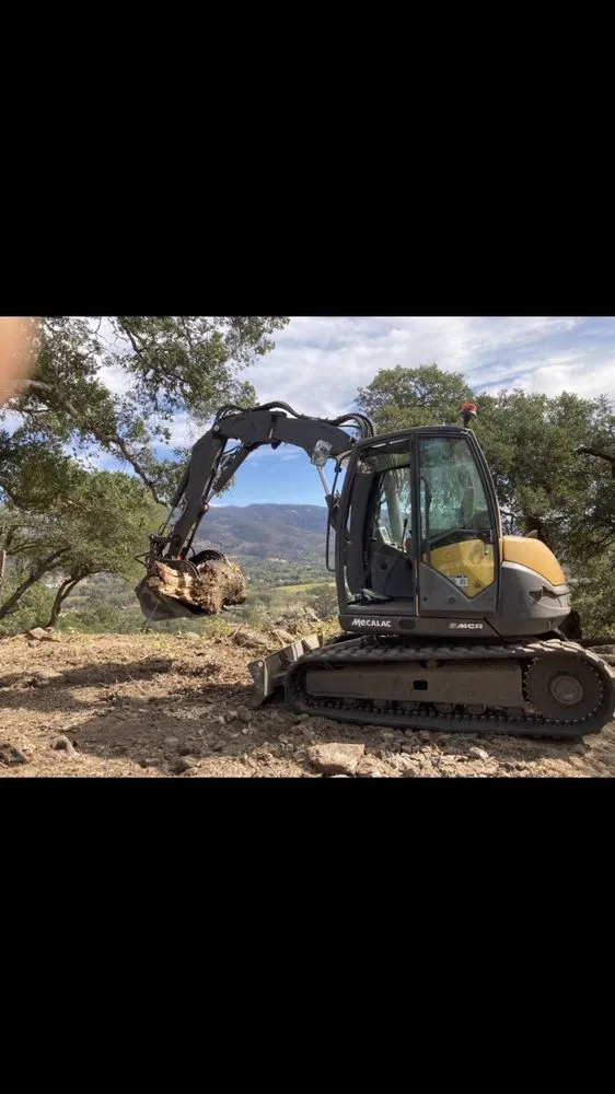 Reliable landscape installation for year-round maintenance across Petaluma, CA - Land Revision