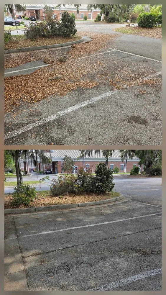 Top-rated landscape installation for homes across Fort Stewart, GA - Land Shark Lawn Services