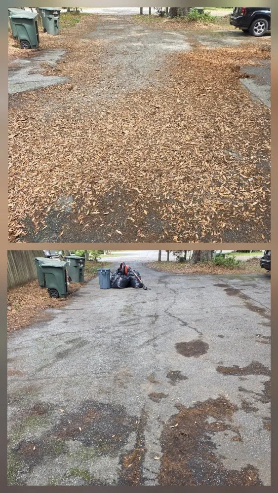 Affordable landscape design experts serving Fort Stewart, GA - Land Shark Lawn Services