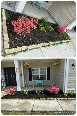 Land Shark Lawn Services