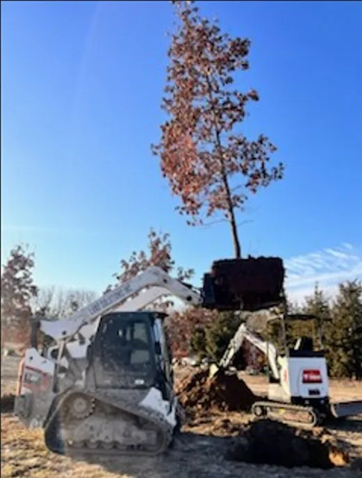 Professional yard cleanup service in Milton, WI by Land Solutions