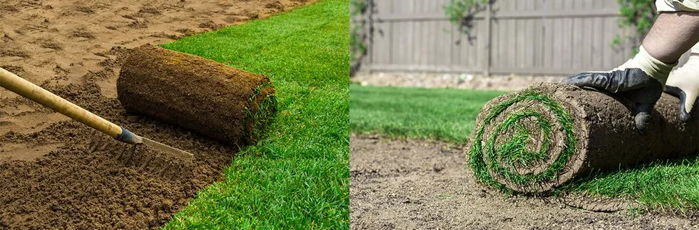 Professional residential landscaping experts serving Terry, MS - Land Sweepers