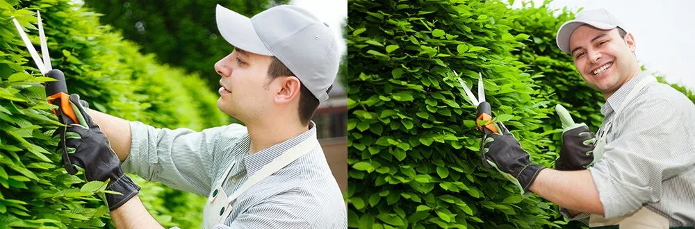 Expert yard maintenance in Terry, MS by Land Sweepers