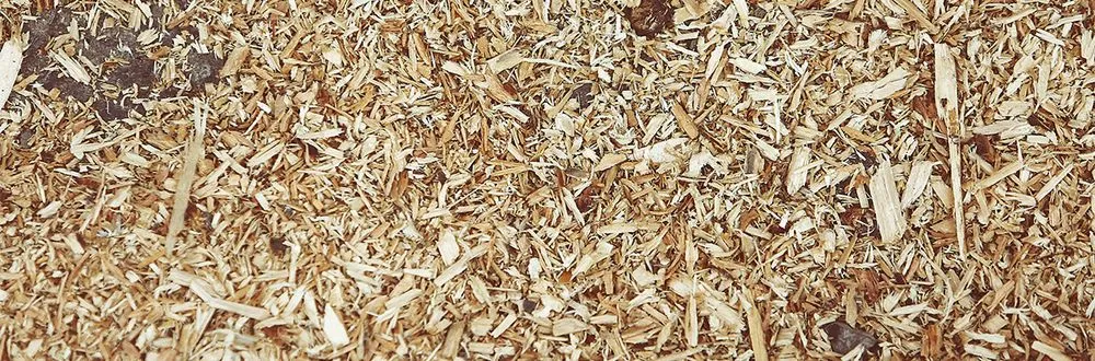 Local lawn mowing service in Terry, MS - Land Sweepers