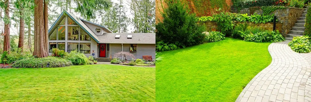 Trusted lawn care service for beautiful yards in Terry, MS by Land Sweepers