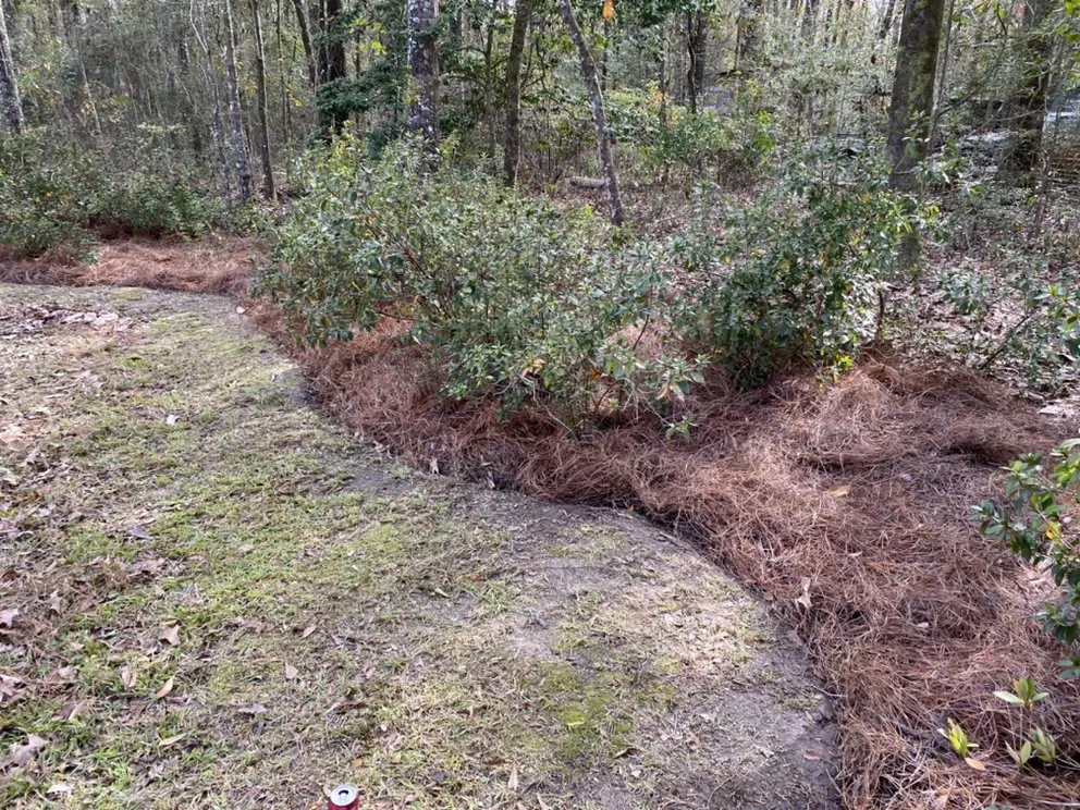 Trusted lawn mowing service with custom design in Holden, LA by Land to Land Landscaping & Maintenance