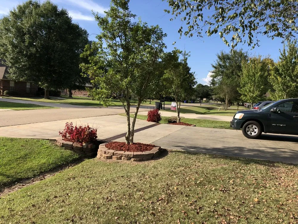 Custom yard cleanup service in Holden, LA - Land to Land Landscaping & Maintenance