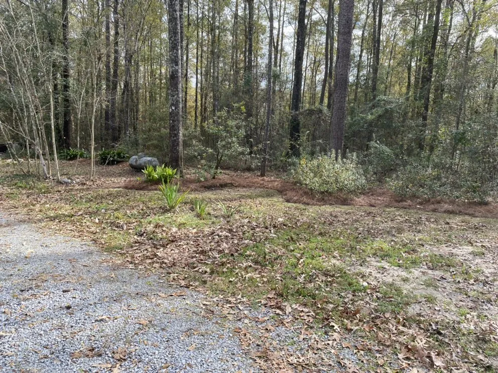 Top-rated yard cleanup service in Holden, LA - Land to Land Landscaping & Maintenance