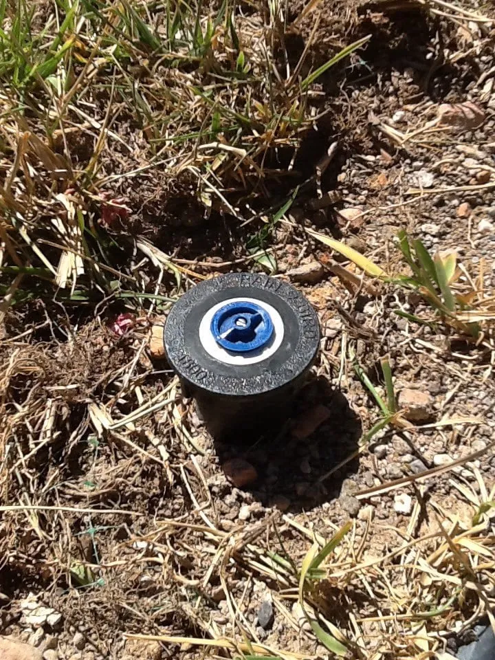 Professional residential landscaping for beautiful yards in Las Vegas, NV by Land View Landscape