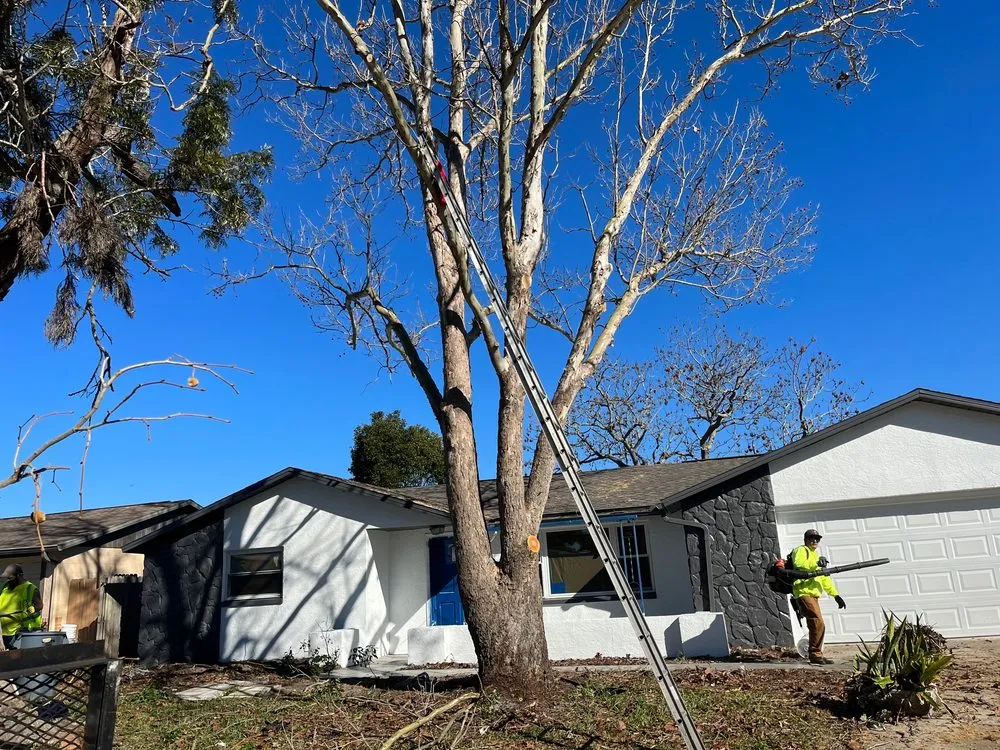 Professional garden landscaping in Port Richey, FL by Land View Landscaping