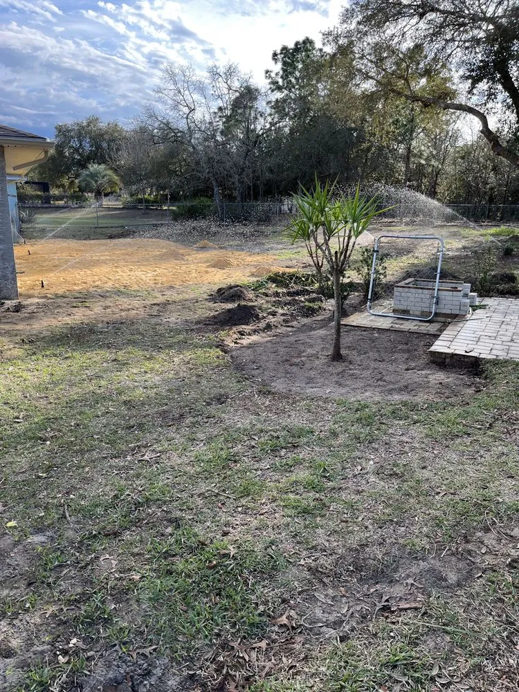 Top-rated lawn care service in Port Richey, FL - Land View Landscaping