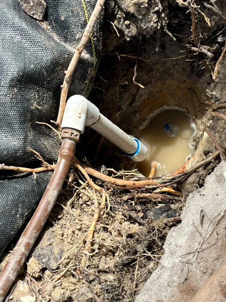 Reliable yard maintenance for year-round maintenance across Port Richey, FL - Land View Landscaping