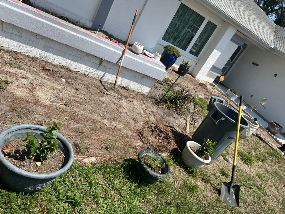 Expert lawn mowing service in Port Richey, FL by Land View Landscaping