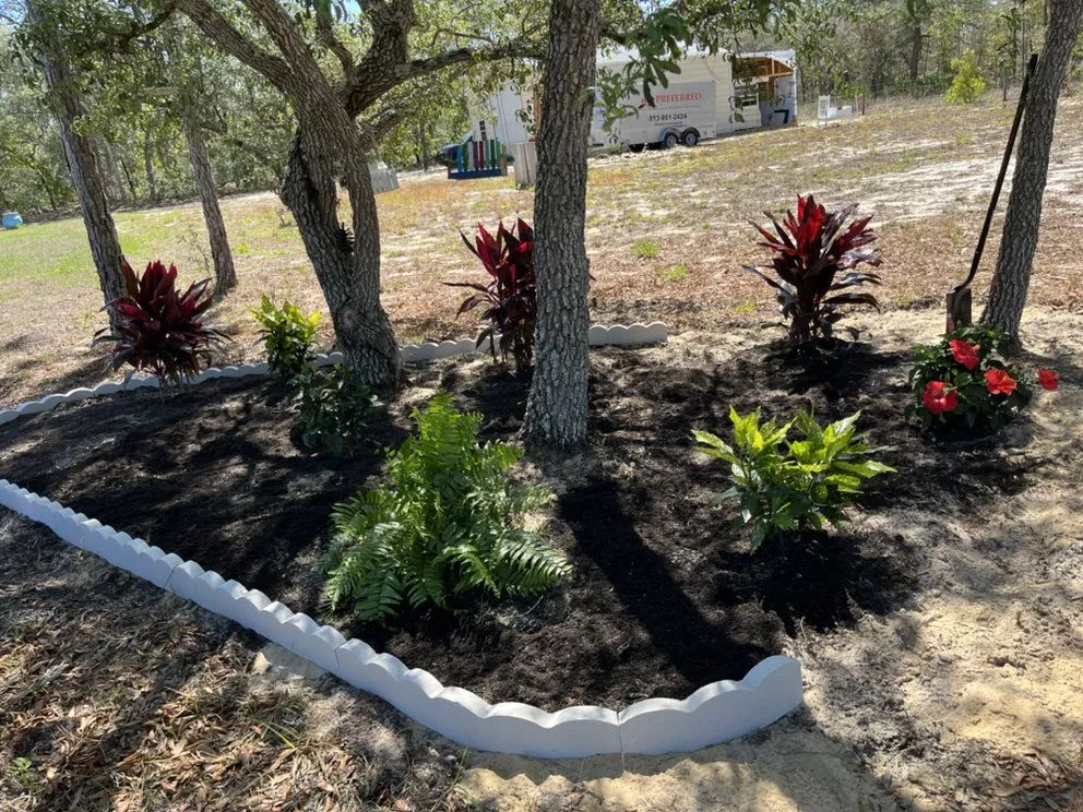 Affordable lawn care service experts serving Port Richey, FL - Land View Landscaping