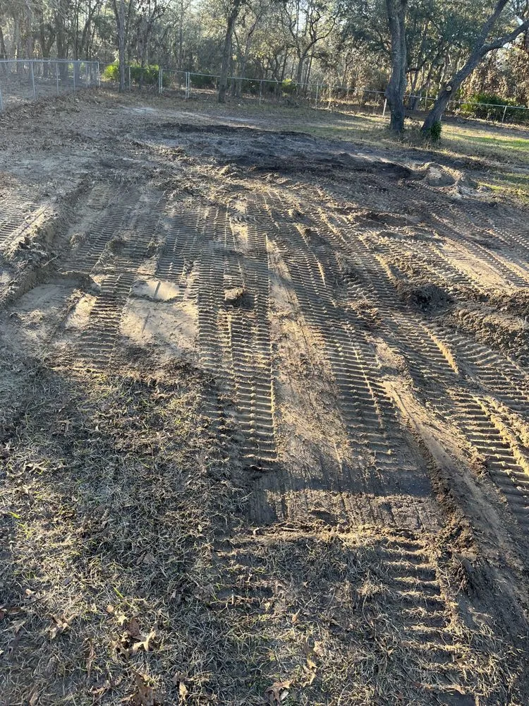 Reliable residential landscaping in Port Richey, FL by Land View Landscaping