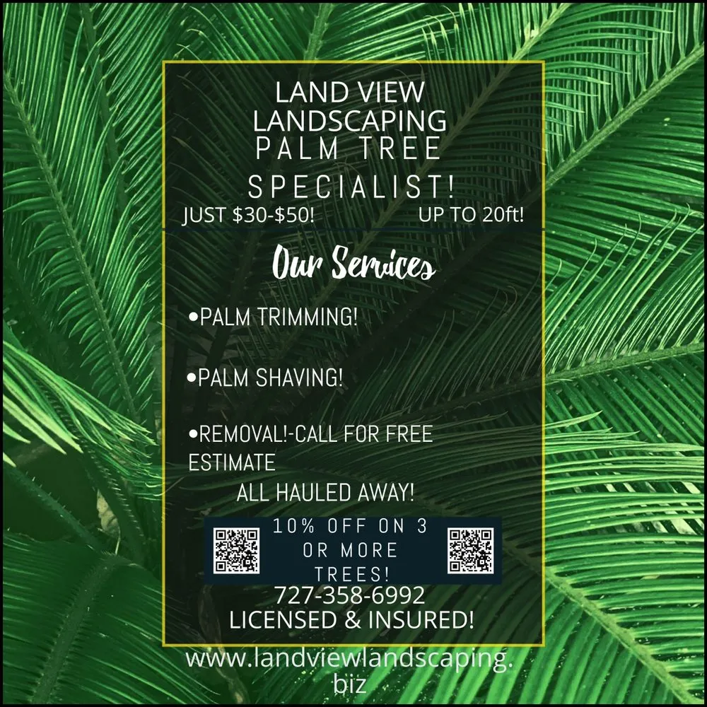 Local landscaping services experts serving Port Richey, FL - Land View Landscaping