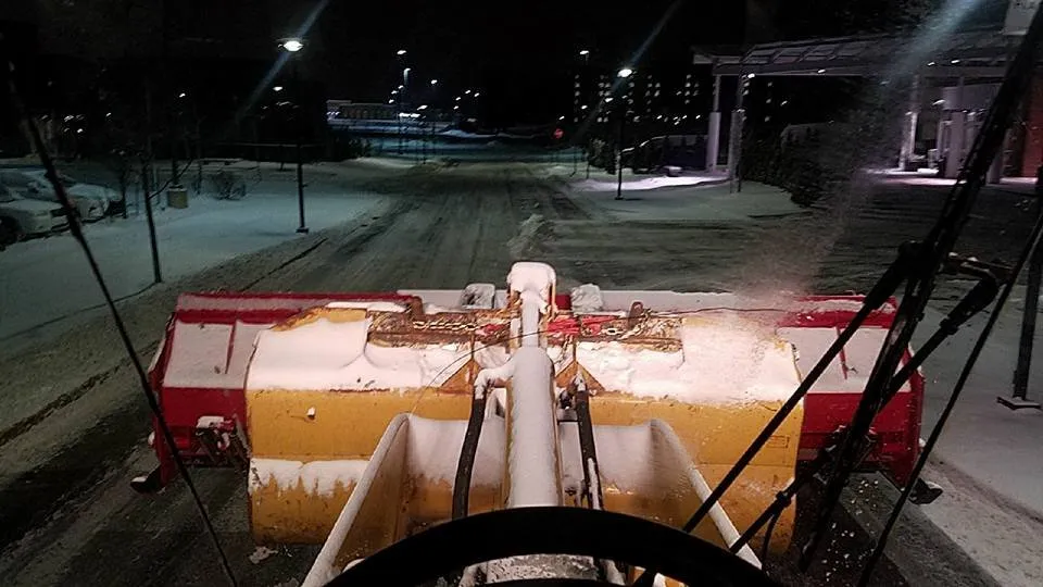 Top-rated lawn care service in Lansing, MI by Land Visions