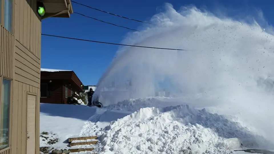 Top-rated lawn care service experts serving Lansing, MI - Land Visions