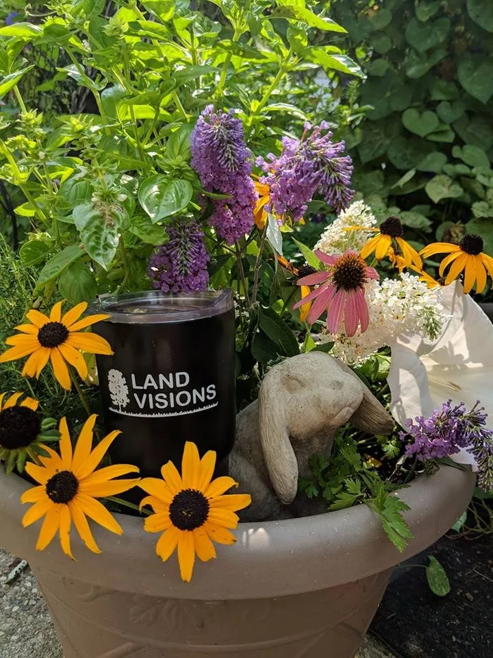 Reliable landscaping services near you across Lansing, MI - Land Visions