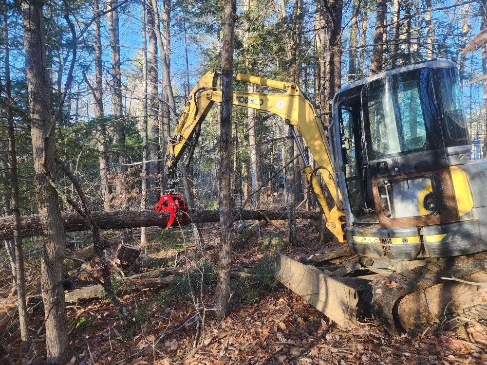 Affordable yard maintenance in Plymouth, NH by Land Works Forestry Management & Excavation