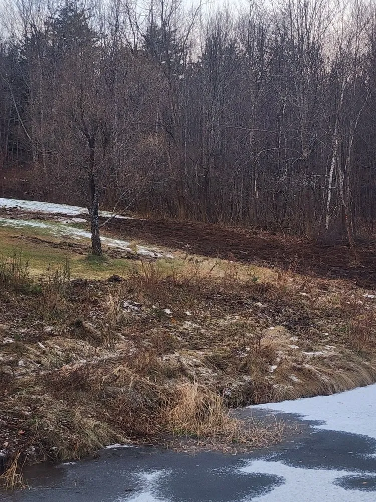 Affordable outdoor landscaping for outdoor upgrades in Plymouth, NH by Land Works Forestry Management & Excavation