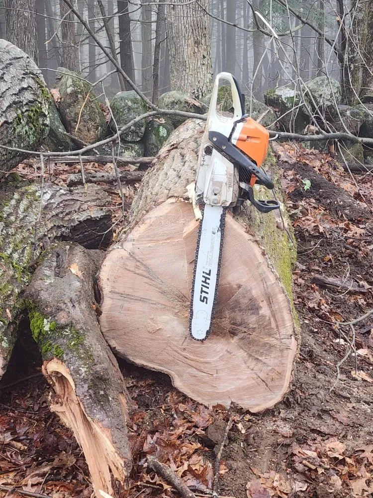 Trusted yard cleanup service for year-round maintenance in Plymouth, NH by Land Works Forestry Management & Excavation