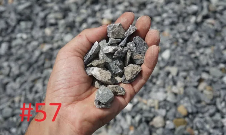 Expert yard maintenance for year-round maintenance in Sylva, NC by Land Worx