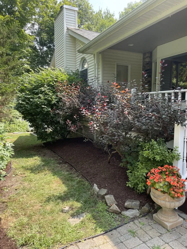 Affordable yard cleanup service in Bloomingburg, NY by Land Wow