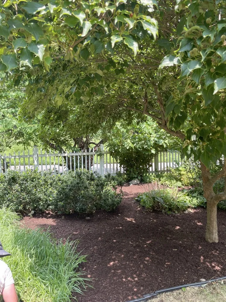 Trusted lawn care service near you across Bloomingburg, NY - Land Wow