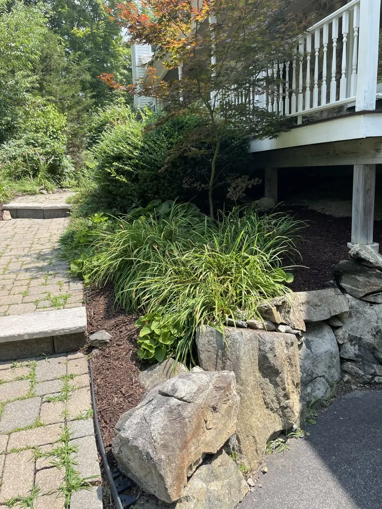 Reliable yard cleanup service in Bloomingburg, NY - Land Wow
