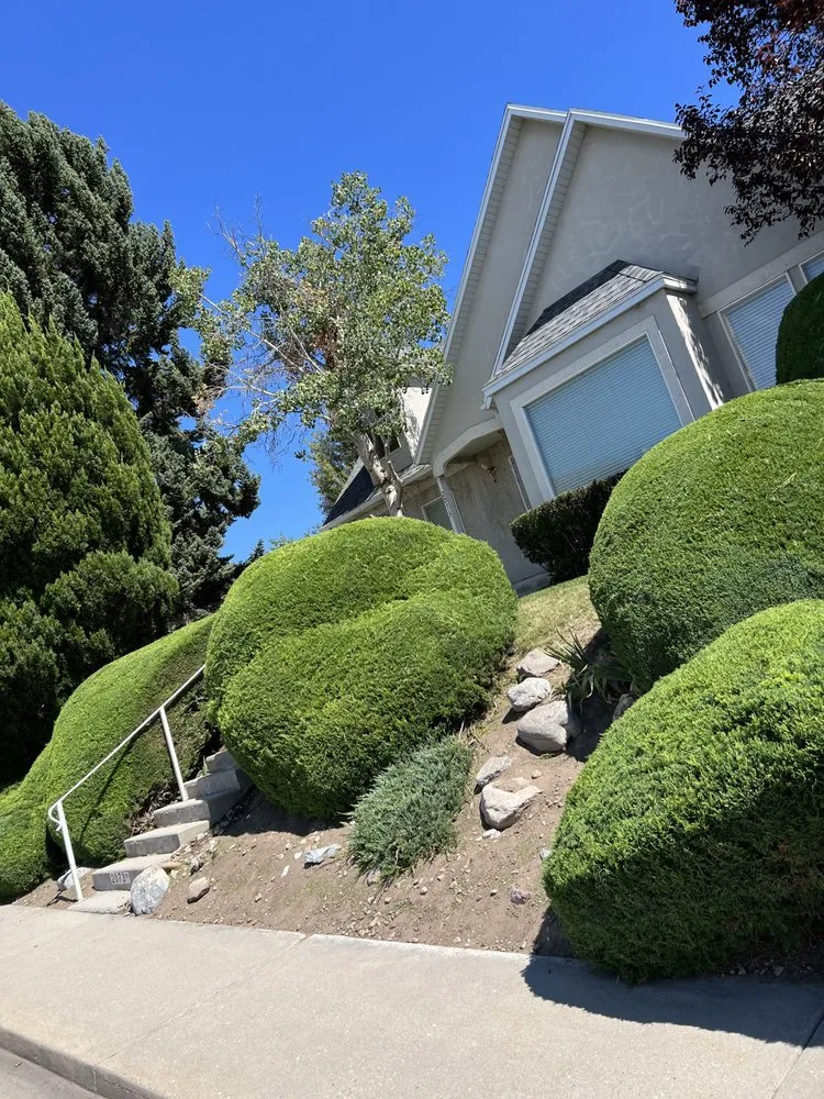 Local landscape design in Taylorsville, UT by Landa Landscaping Services