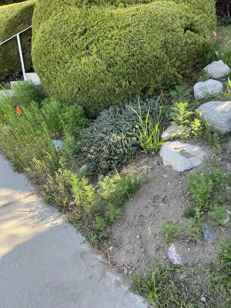 Top-rated lawn mowing service with custom design in Taylorsville, UT by Landa Landscaping Services