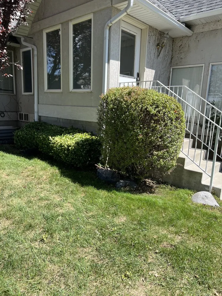 Affordable yard cleanup service near you in Taylorsville, UT by Landa Landscaping Services