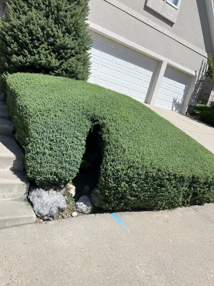 Local lawn mowing service in Taylorsville, UT - Landa Landscaping Services