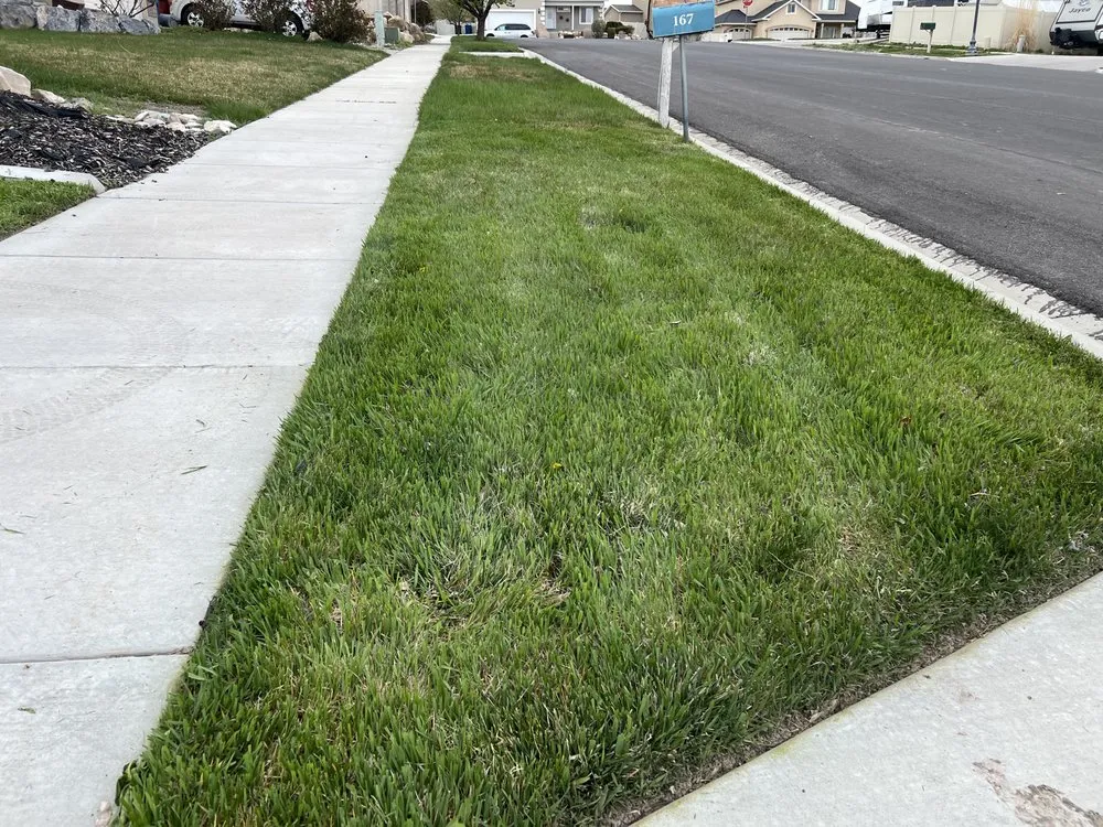 Affordable residential landscaping experts serving Taylorsville, UT - Landa Landscaping Services