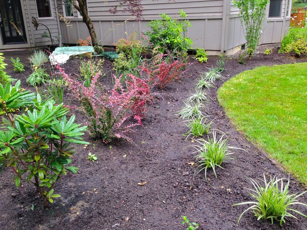 Local landscape installation for homes across Eugene, OR - LandArc Landscaping & Design