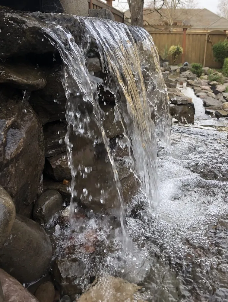 Top-rated yard maintenance in Eugene, OR by LandArc Landscaping & Design