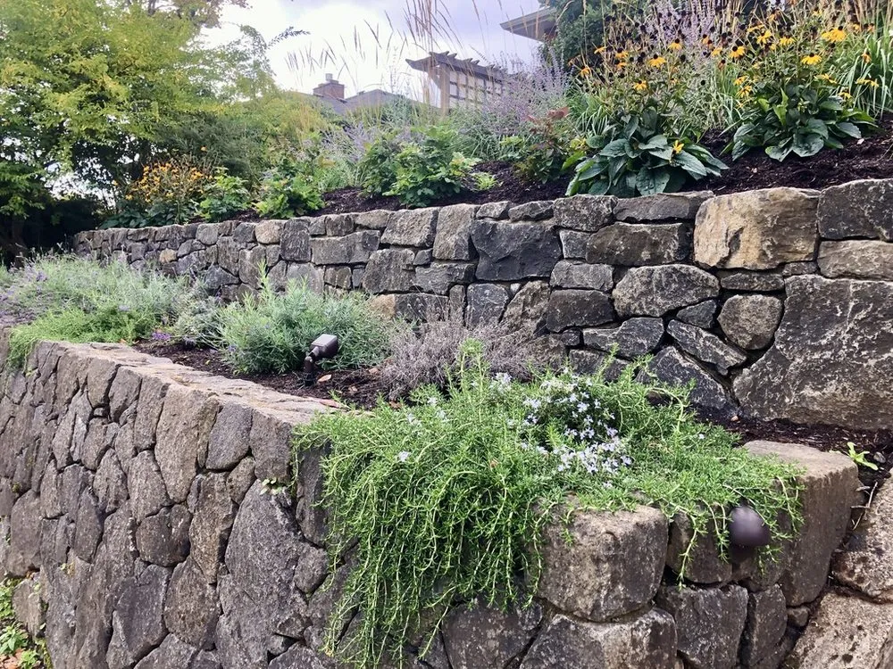 Professional yard cleanup service in Eugene, OR - LandArc Landscaping & Design