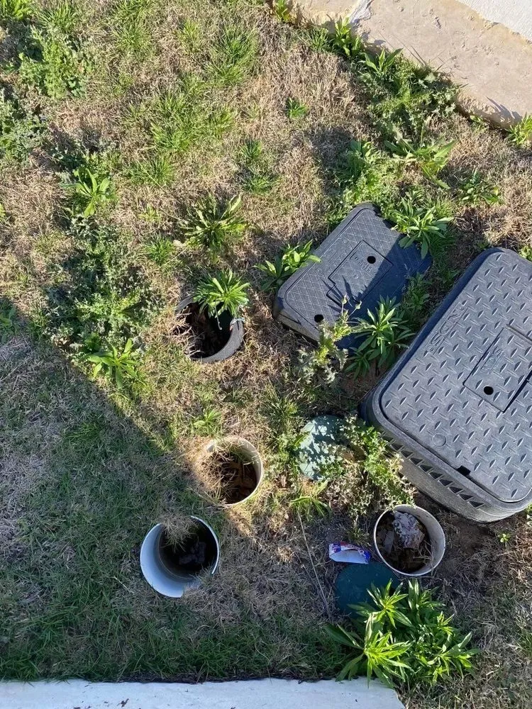 Trusted lawn mowing service in Buda, TX by Landart America