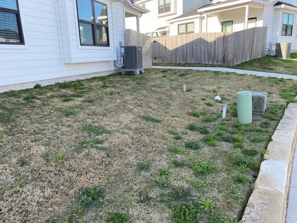 Top-rated lawn mowing service in Buda, TX by Landart America